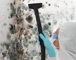 Best Asbestos and Lead Testing During Mold Inspection  in Mckee City, NJ